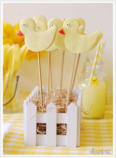 some little yellow birds on sticks in a white box with hay and straw around them