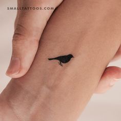 a small black bird tattoo on the wrist