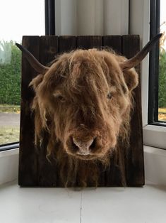 a stuffed bison head mounted to the side of a window sill in front of a wooden frame