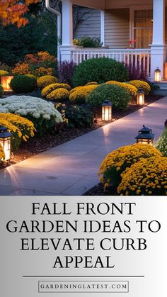 a front yard with yellow flowers and lights on the walkway, surrounded by bushes and shrubs