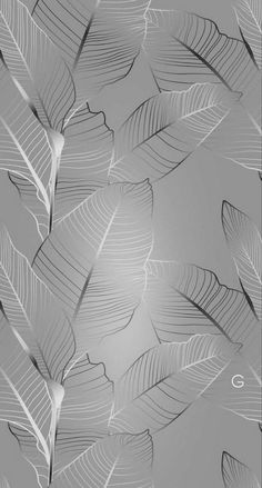 an abstract photo of leaves on a gray background