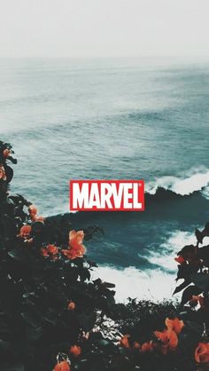 there is a red sign that says marvel on the side of a cliff by the ocean