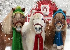 three ponies are standing in the snow wearing hats and scarves on their heads