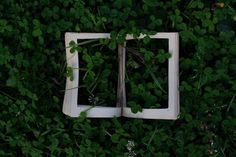 an open book sitting in the middle of some green grass with leaves growing out of it