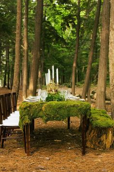 a moss covered table in the woods with candles on it and some chairs around it