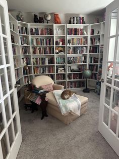 a cat sitting on a chair in front of a book shelf filled with books and other items