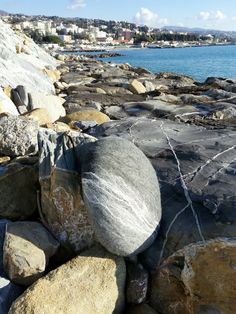 rocks and barbed wire are on the beach