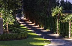 a street lined with lots of trees next to a lush green park filled with palm trees