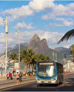 a bus is driving down the street in front of some palm trees and people walking