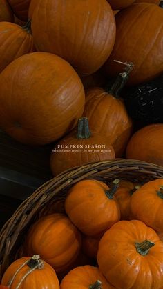 a basket filled with lots of orange pumpkins