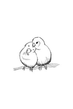 Hand drawn two lovebird parrots outline sketch. Vector bird black ink drawing isolated on white background. Graphic animal illustration. 3 Birds Drawing, Two Birds Drawing, 2 Birds Drawing, Animals In Love Drawing, Cute Birds Drawing, Animal Couple Drawing, Birds In Love Drawing, Love Bird Drawing, Valentines Day Sketches