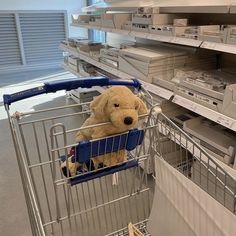 a teddy bear sitting in a shopping cart