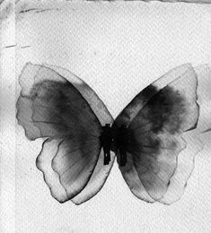 a black and white photo of a butterfly