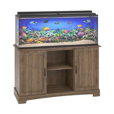 an aquarium is shown with fish in the water and on top of a wooden cabinet