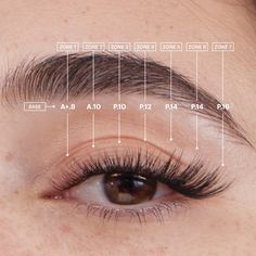 IN THE WILD. Lashify's love of animals is no secret. So we're bringing you trendsetting animal-inspired lash maps for looks that will have everyone running wild. GET THE LOOK #LASHMAP: A+8, A10, P10, P12, P14 x2, P16 *Overlap outer corner lashes Please remember you'll need to purchase a Control Kit to apply this bundle. Cat Eye Lash Map, Lash Map, Natural Fake Eyelashes, Lashes Fake Eyelashes, Wispy Eyelashes, Cat Eye Lash, Eyelash Extensions Styles, Lash Extensions Styles, Perfect Eyelashes