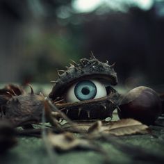 a close up of an eyeball in the middle of leaves