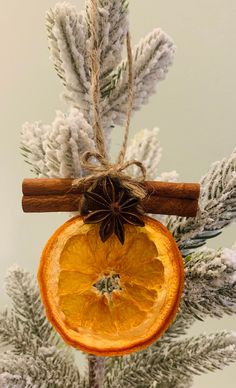 an ornament hanging from a christmas tree decorated with orange slices and cinnamon sticks