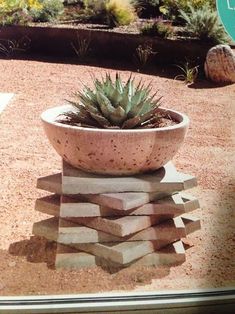 a potted plant sitting on top of a pile of blocks