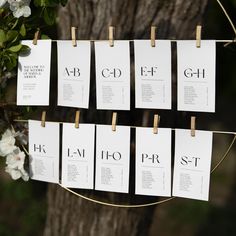 several pieces of paper hanging from clothes pegs on a tree with white flowers in the background