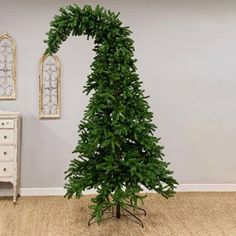 a tall green tree sitting in the middle of a room