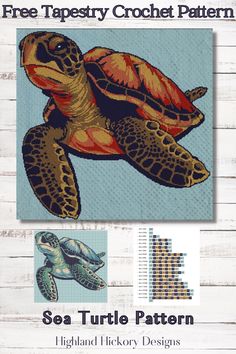 the sea turtle pattern is featured in this book