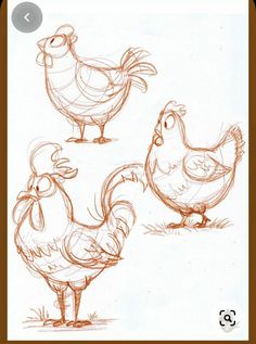 three chickens standing next to each other on top of a field