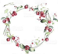 watercolor painting of berries and leaves arranged in a circle on white background stock photo