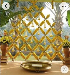 an image of yellow flowers hanging from the ceiling in front of a tree and some potted plants