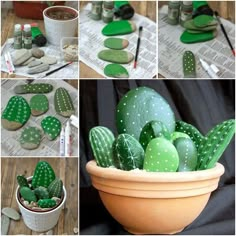 several pictures of green cactus in a white bowl with paint and brushes on the table