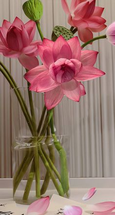 a vase filled with pink flowers on top of a table