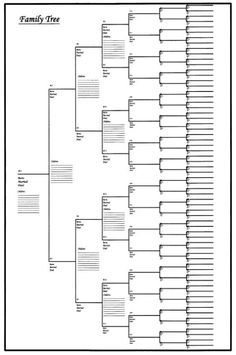 the family tree is shown in this black and white photo, with lines on each side