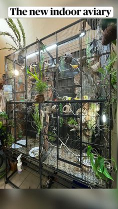 a large cage filled with lots of birds inside of a room next to plants and other things