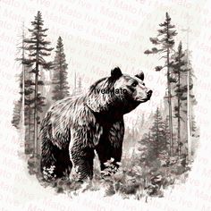 a black and white drawing of a bear in the woods with pine trees behind it