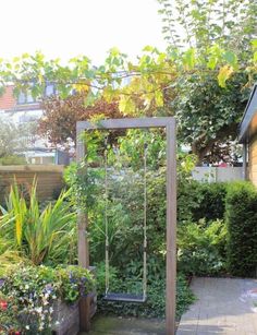 an outdoor garden with various plants and trees