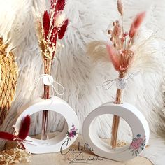 two vases with dried flowers in them sitting on a white furnishing background