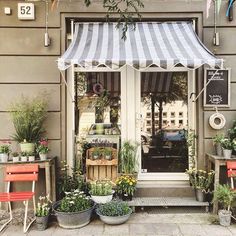 a store front with potted plants in the window and an awning over it