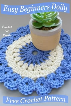 a crocheted pot holder with a succulent in it and the words, easy beginner's doily