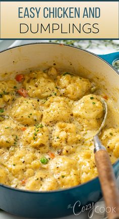 chicken and dumplings in a pot, in homemade chicken soup