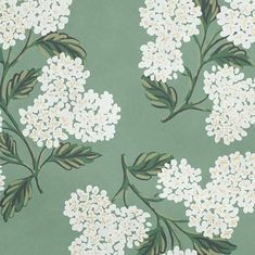 a wallpaper with white flowers and green leaves on a light green background that looks like it has been painted