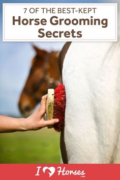 a horse grooming brush being held by someone's hand with the words, 7 of