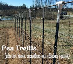 there is a wire fence that has been placed in the field with grass and dirt