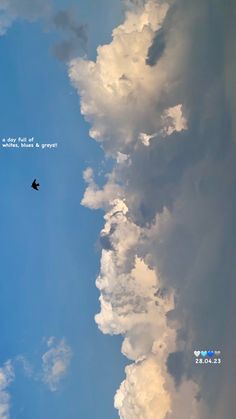 there is a bird flying in the sky with clouds behind it and an inspirational quote