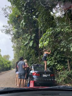 three people standing on the hood of a car in front of a tree lined road