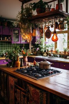 a kitchen with potted plants hanging from the ceiling and an electric stove in front of it