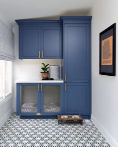 a kitchen with blue cabinetry and white counter tops, along with a dog bowl on the floor