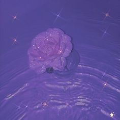 a purple rose floating in water with sparkles on the bottom and sides, surrounded by stars