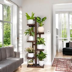 a living room filled with furniture and lots of plants