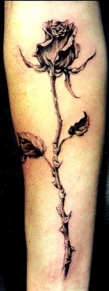 a black and white photo of a rose tattoo on the leg, with leaves growing out of it