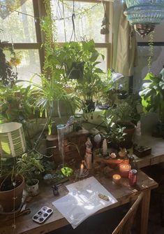 a wooden table topped with lots of plants next to a window filled with light bulbs