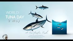 an advertisement for the world tuna day with three fish swimming in the water and one jumping up